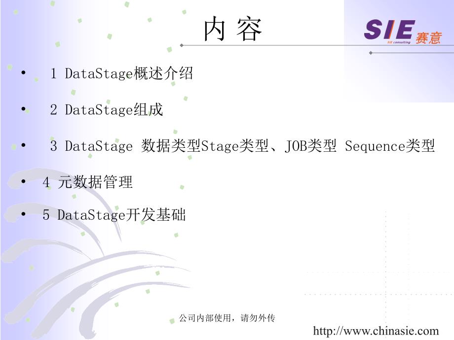 DataStage基础培训_第2页