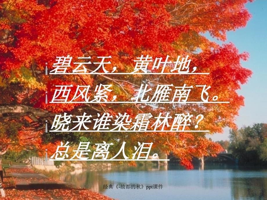 经典《-故都的秋》ppt课件_第5页