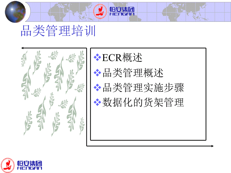 恒安集团品类管理课程概述_第2页