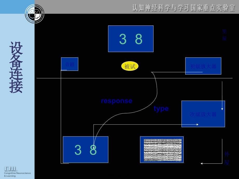 ERPNeuroscan处理方法精讲课件_第5页