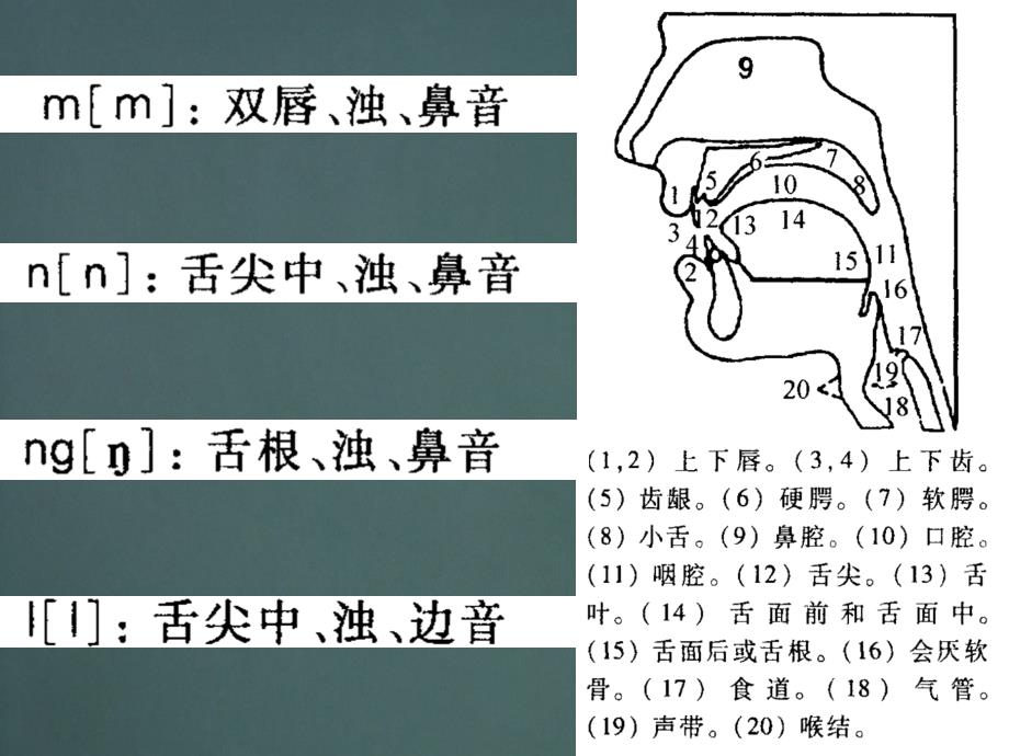 ↖(ω)↗汉语拼音教学.ppt_第4页