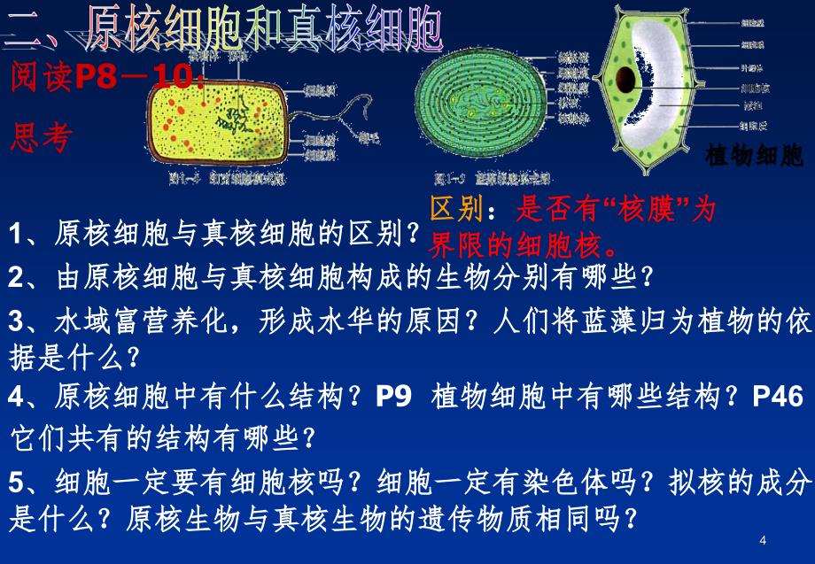 细胞学说PPT精品文档_第4页