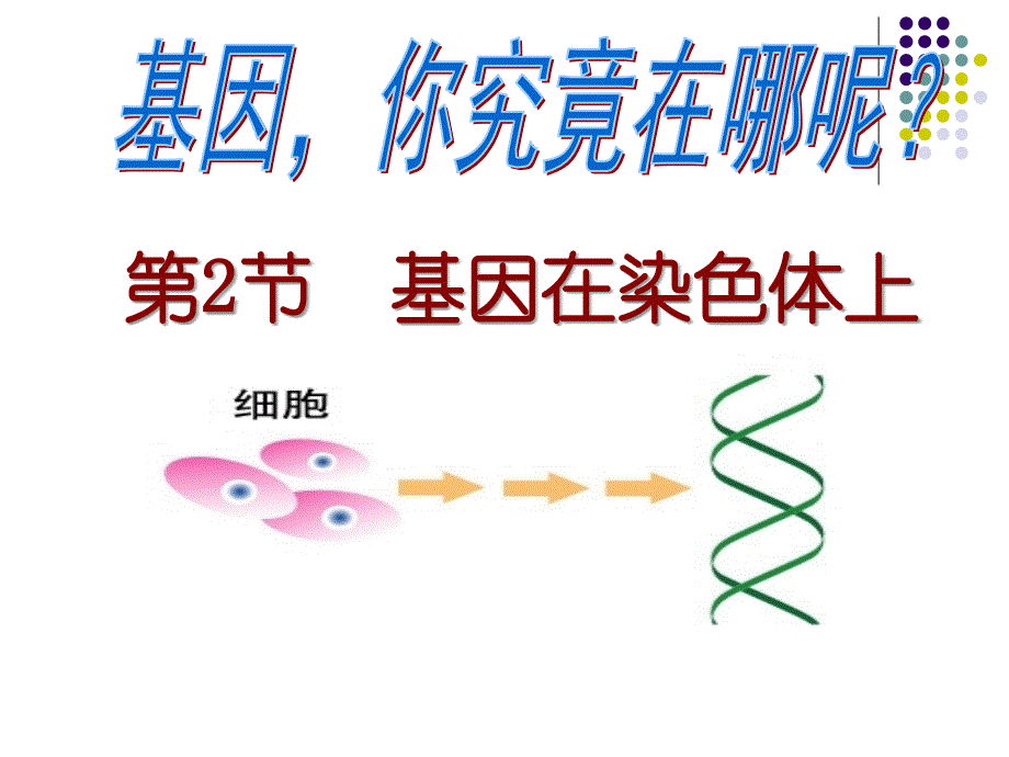 基因在染色体上(公开课).ppt_第1页