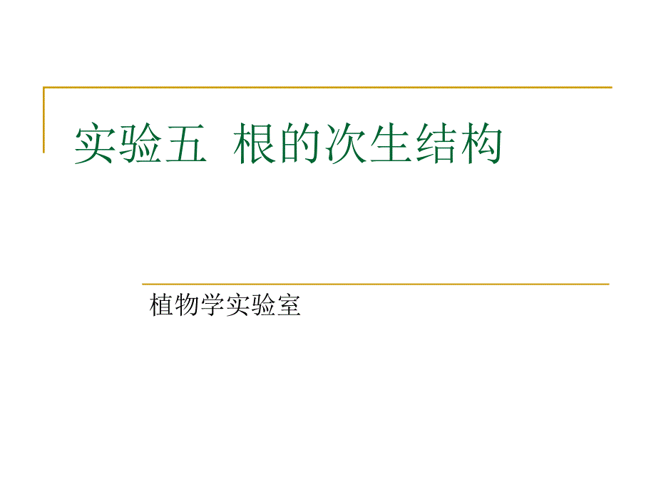 根的次生结构课件.ppt_第1页