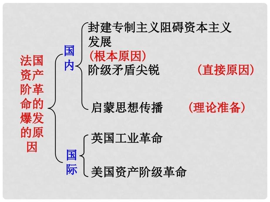 八年级历史与社会下册 第五单元第四课第三框 忘我献身的法国公民课件 人教版_第5页