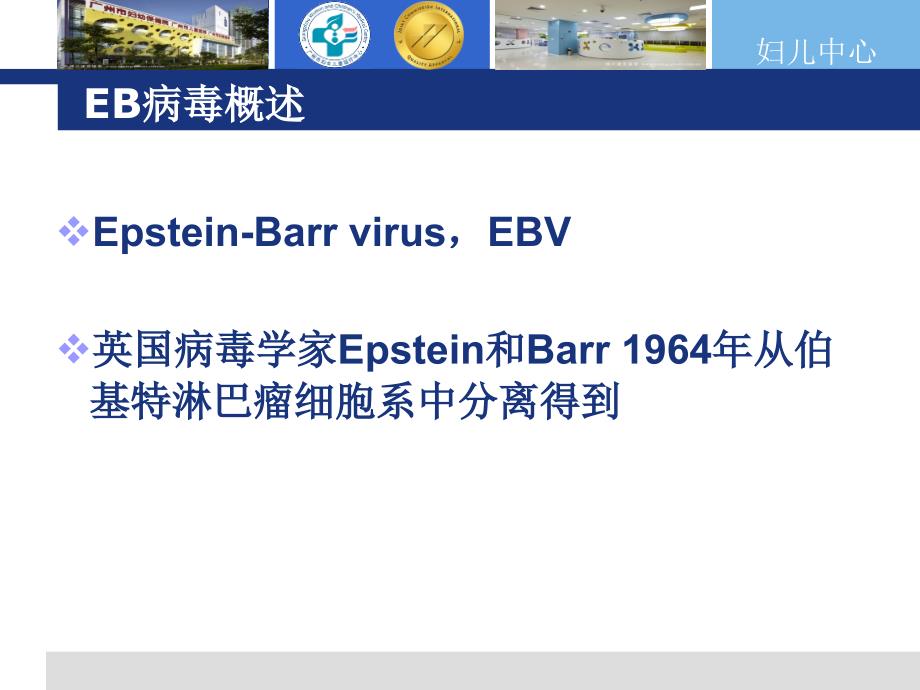 EB病毒概述课件精选文档_第1页