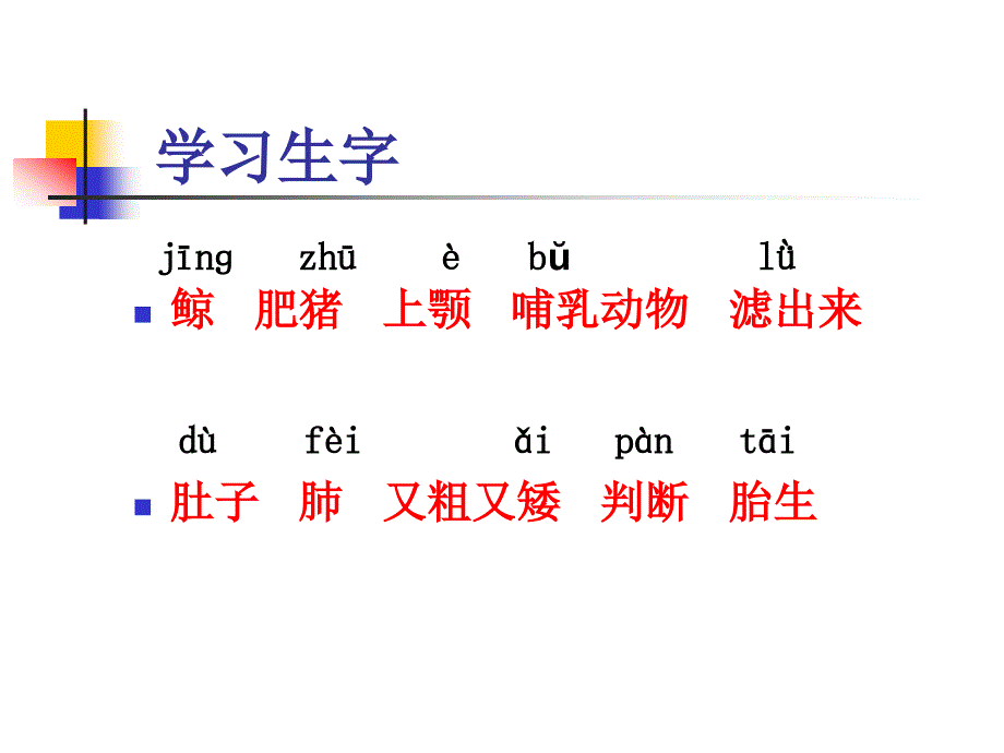 《鲸》课件 (2)_第3页