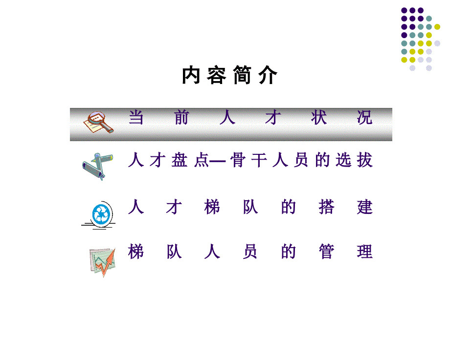 国美人才梯队建设精华方案课件_第3页