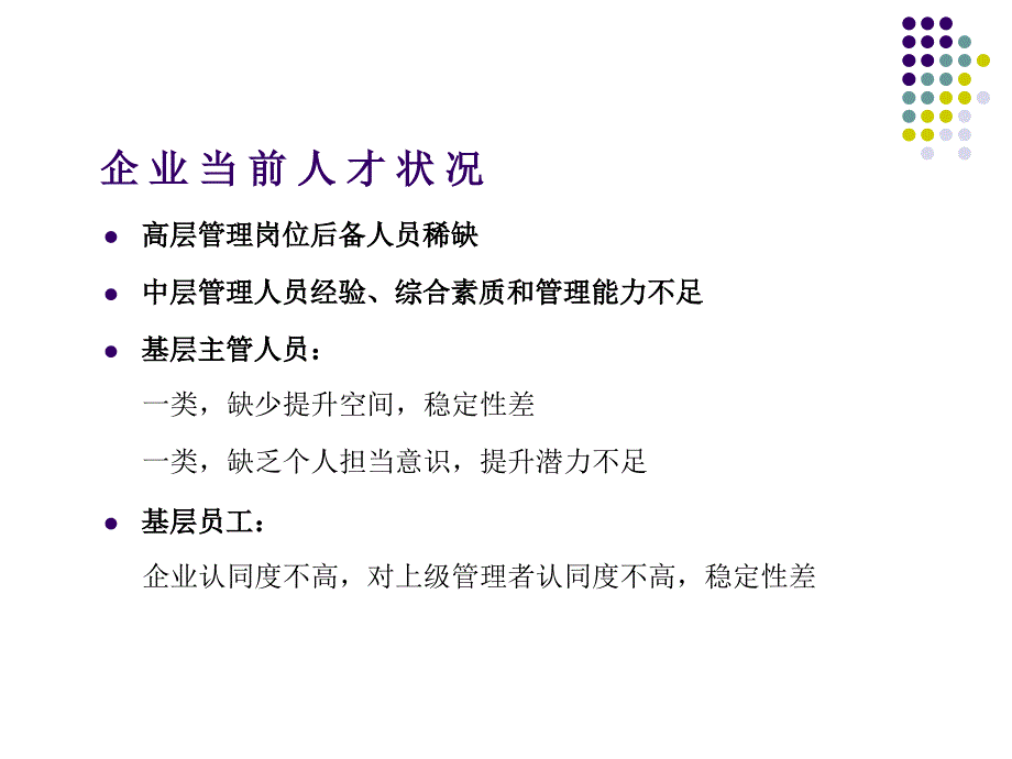 国美人才梯队建设精华方案课件_第4页