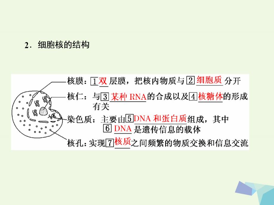 高中生物 第3章 细胞的基本结构 第3节 细胞核——系统的控制中心 新人教版必修1_第3页