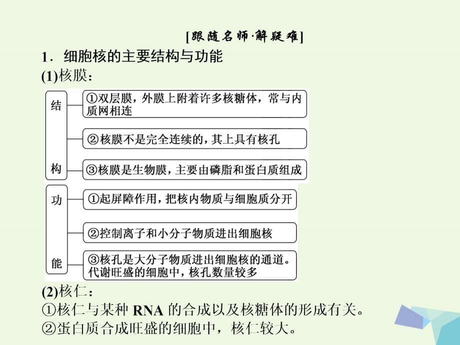 高中生物 第3章 细胞的基本结构 第3节 细胞核——系统的控制中心 新人教版必修1_第5页