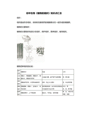 初中生物《植物的组织》知识点汇总