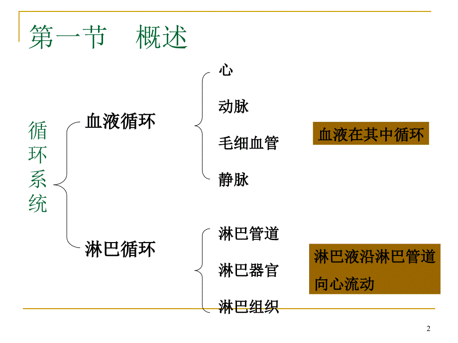 心血管系统解剖_第2页