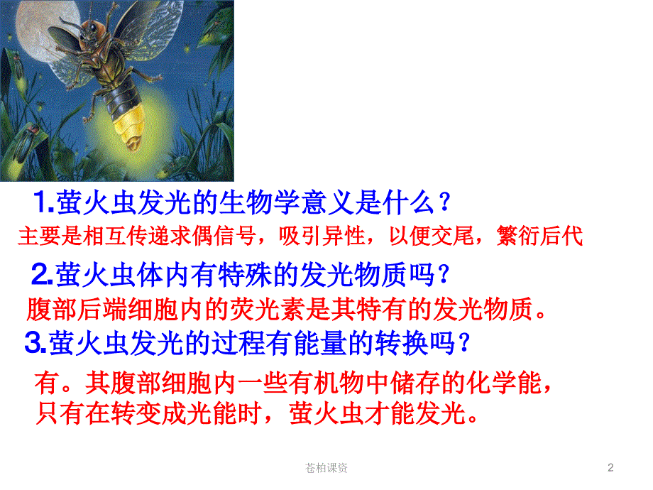 细胞的能量通货——ATP(赛课课件)【一类教资】_第2页