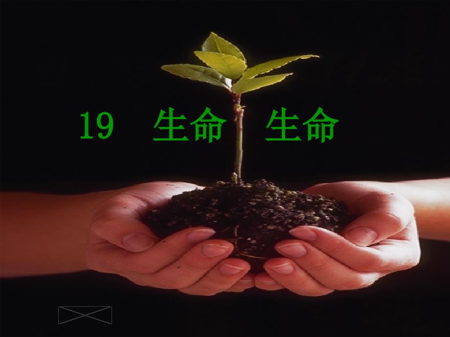 19生命生命（课件）_第1页