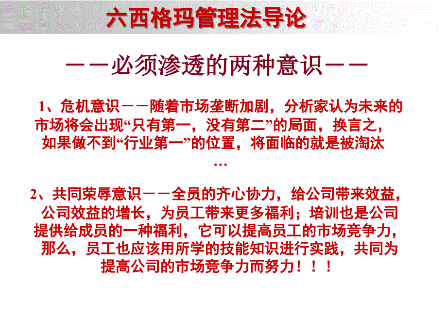 六西格玛管理法导论详解_第3页