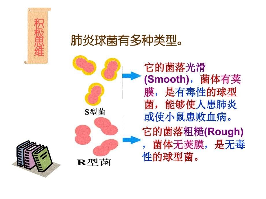 必修2第三章第一节DNA是主要的遗传物质_第5页