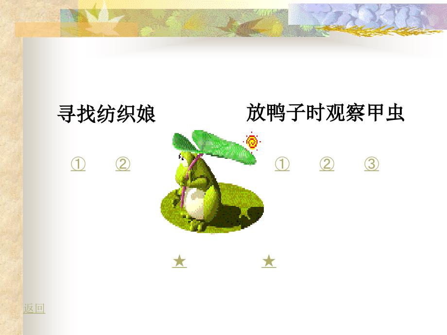 北师大版小学三年级下册语文《装满昆虫的口袋》课件PPT_第4页