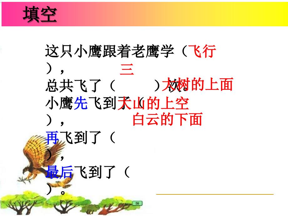 《小鹰学飞》课件_第4页