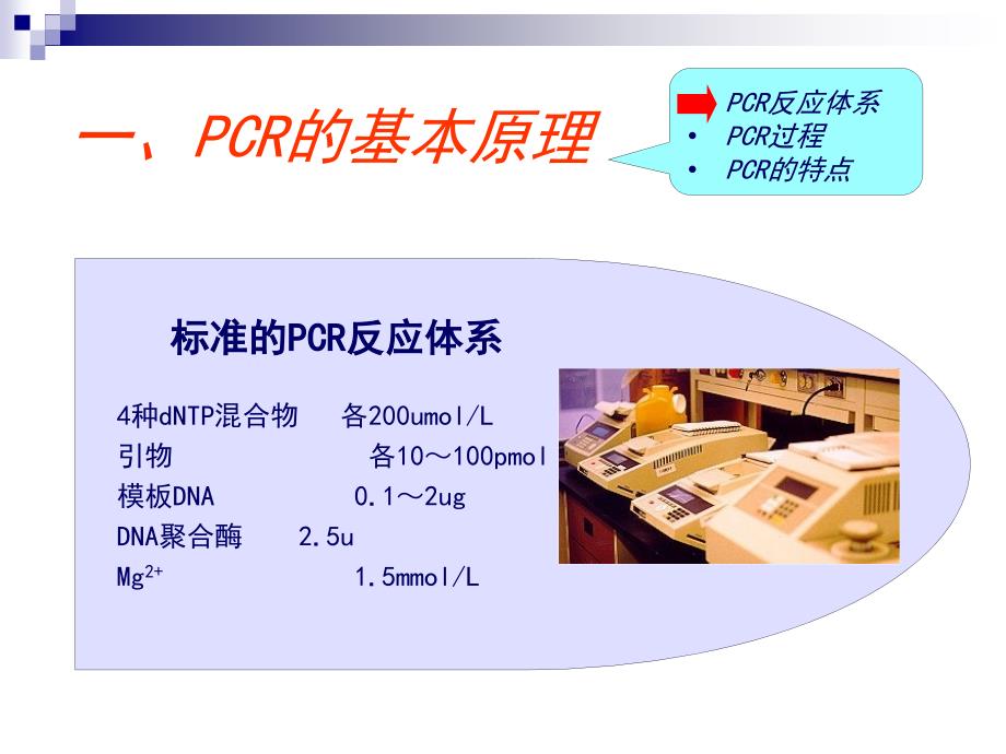 PCR技术及其发展和应用PPT 104页_第4页