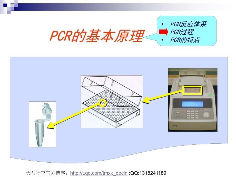 PCR技术及其发展和应用PPT 104页_第5页