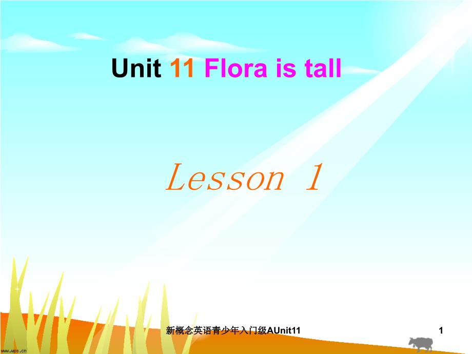 新概念英语青少年入门级AUnit11课件_第1页
