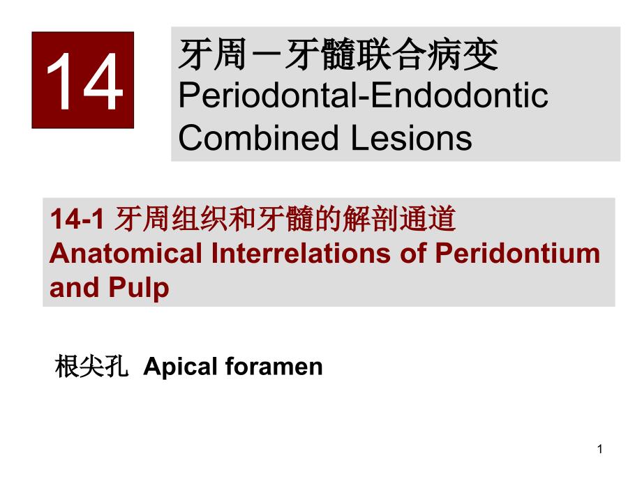 牙周牙髓联合病变PPT课件_第1页