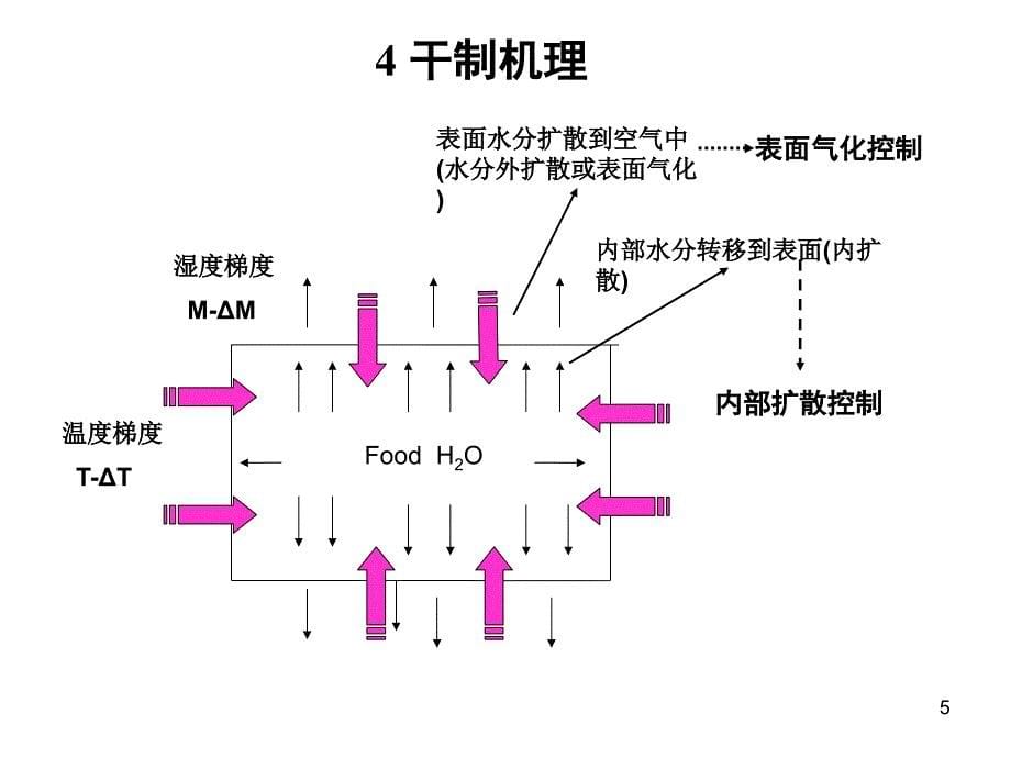 园产食品工艺学2果蔬干制PPT55页_第5页