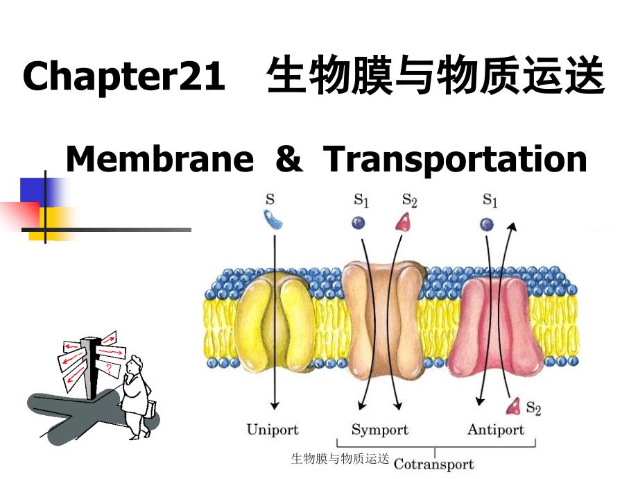 生物膜与物质运送课件_第1页