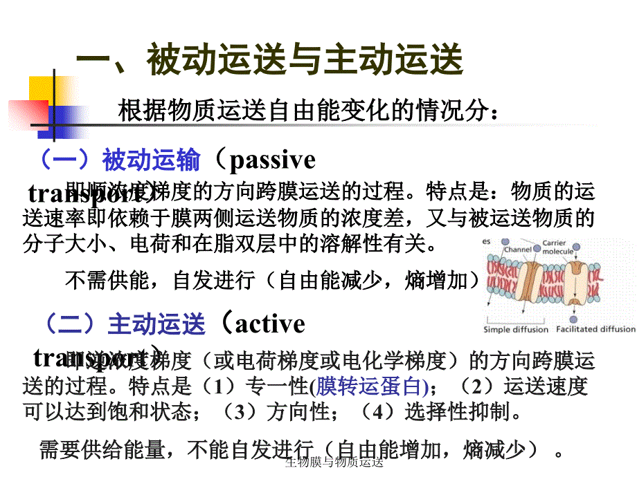 生物膜与物质运送课件_第3页