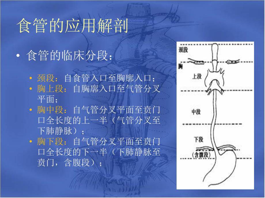 食管疾病ppt课件_第4页