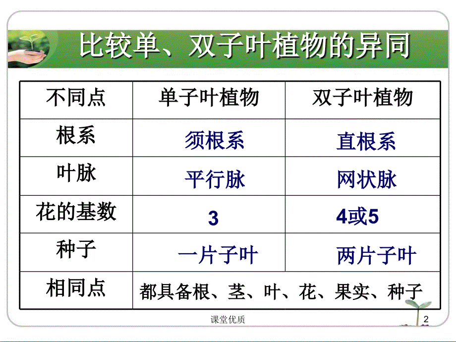 第七节我国的珍稀植物（详版课资）_第2页