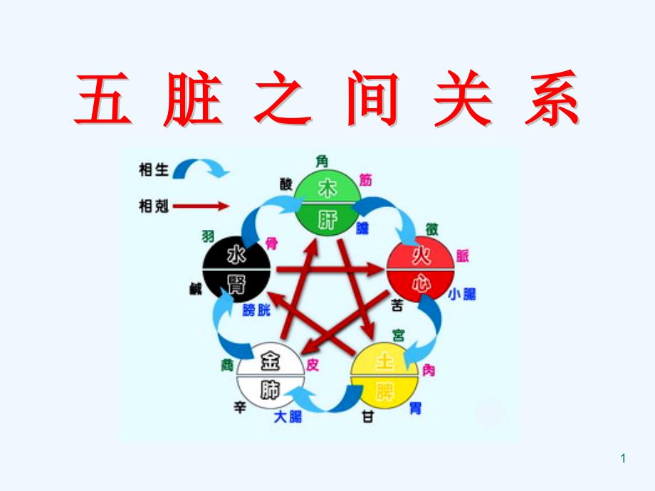 8.脏象-五脏之间关系.ppt_第1页