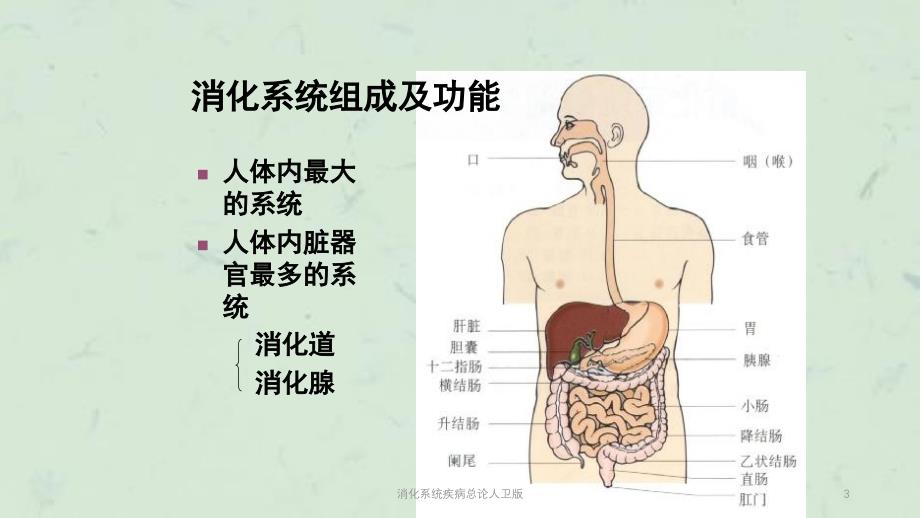 消化系统疾病总论人卫版课件_第3页