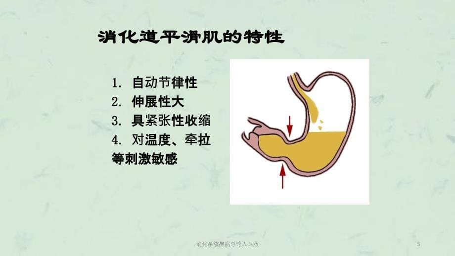 消化系统疾病总论人卫版课件_第5页