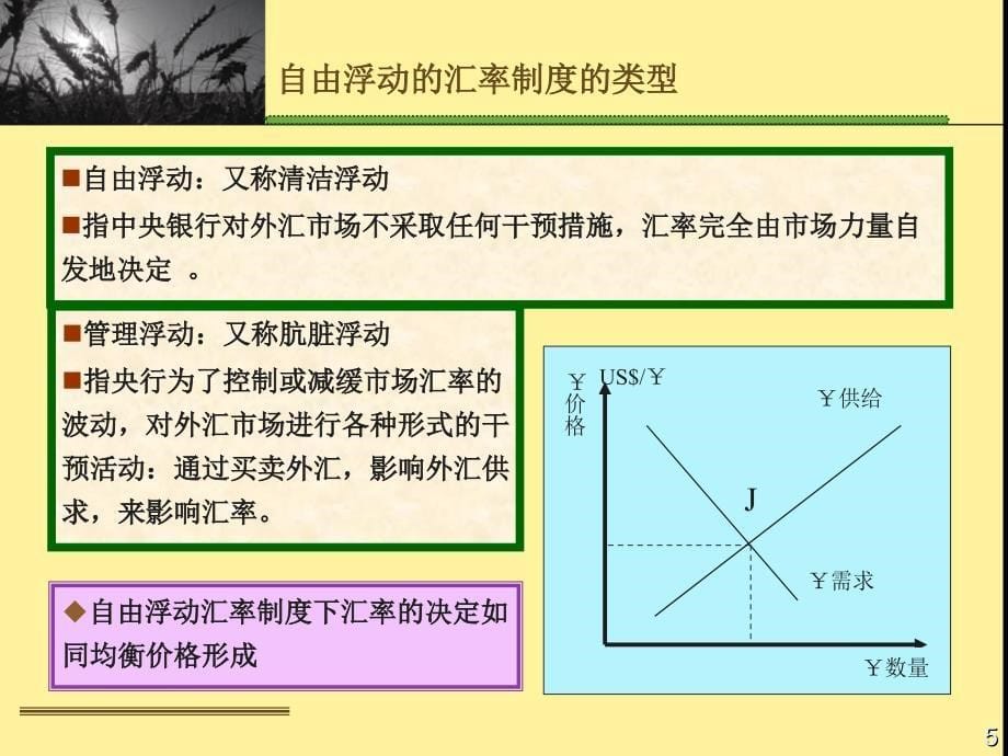 财大微观经济学课件第二十章_第5页