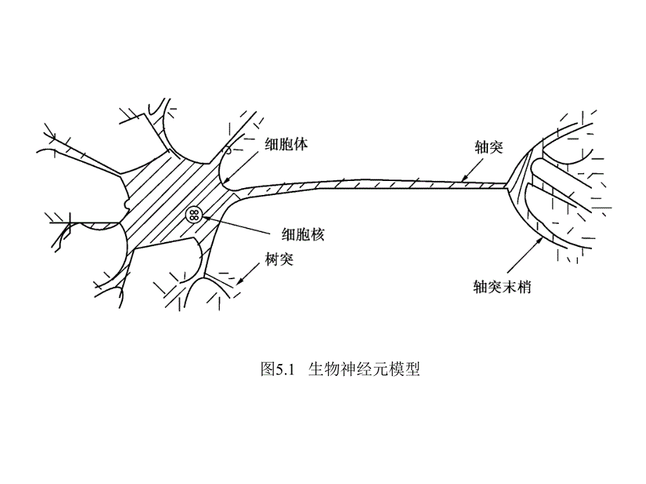 模煳控制课件第五章 神经网络在模糊控制系统中的应用_第3页