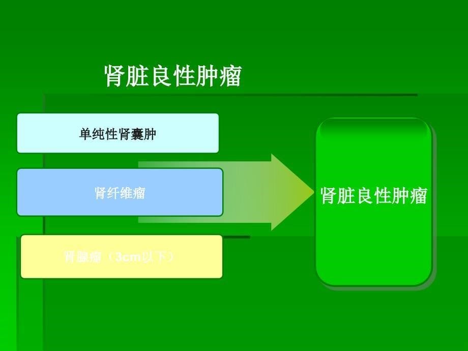 腹腔镜肾部分切除术治疗肾肿瘤ppt课件.ppt_第5页