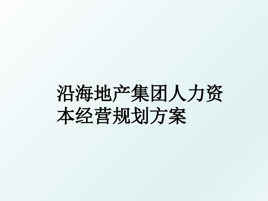 沿海地产集团人力资本经营规划方案_第1页