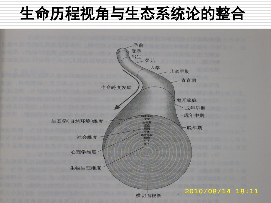 《人类行为与社会环境》第三章胎儿期_第2页