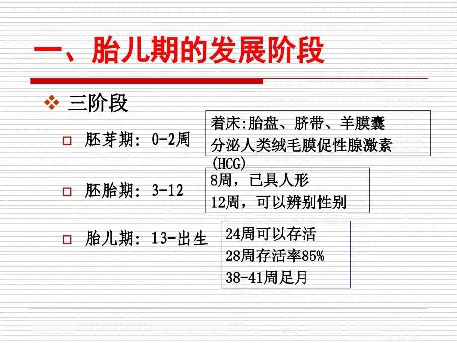 《人类行为与社会环境》第三章胎儿期_第5页