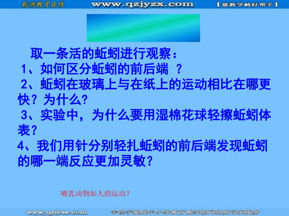 生物第二单元第二章生物圈中的动物复习课件济南版七年级上_第4页