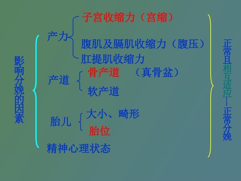 正常分娩与剖宫产过程与危险因素的比较_第5页