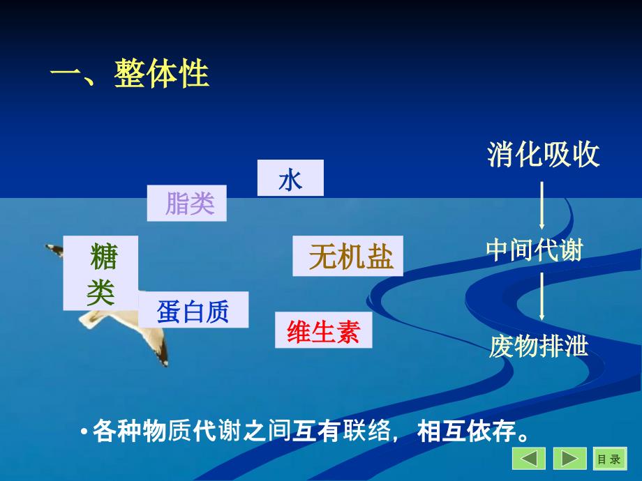 物质代谢的相互调节和联系ppt课件_第4页