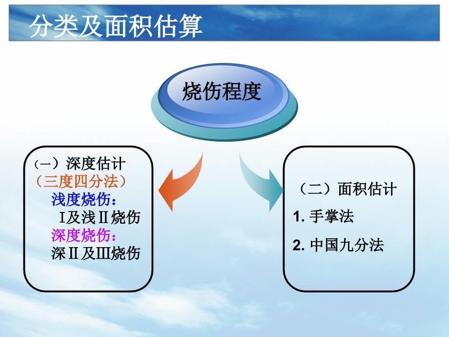 急诊烧伤手术的配合.ppt_第5页