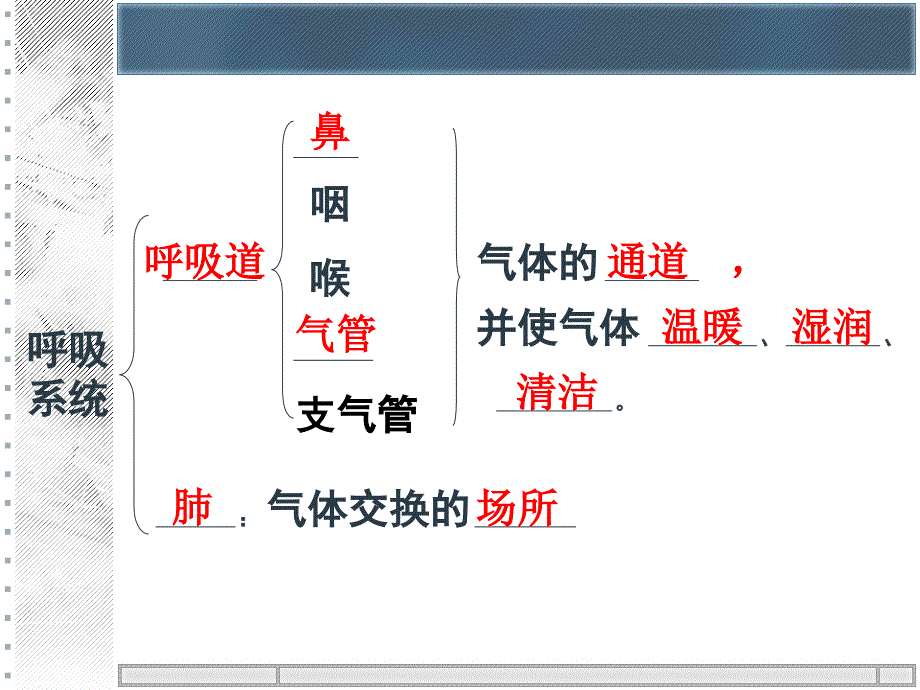 第三章人的呼吸13_第3页