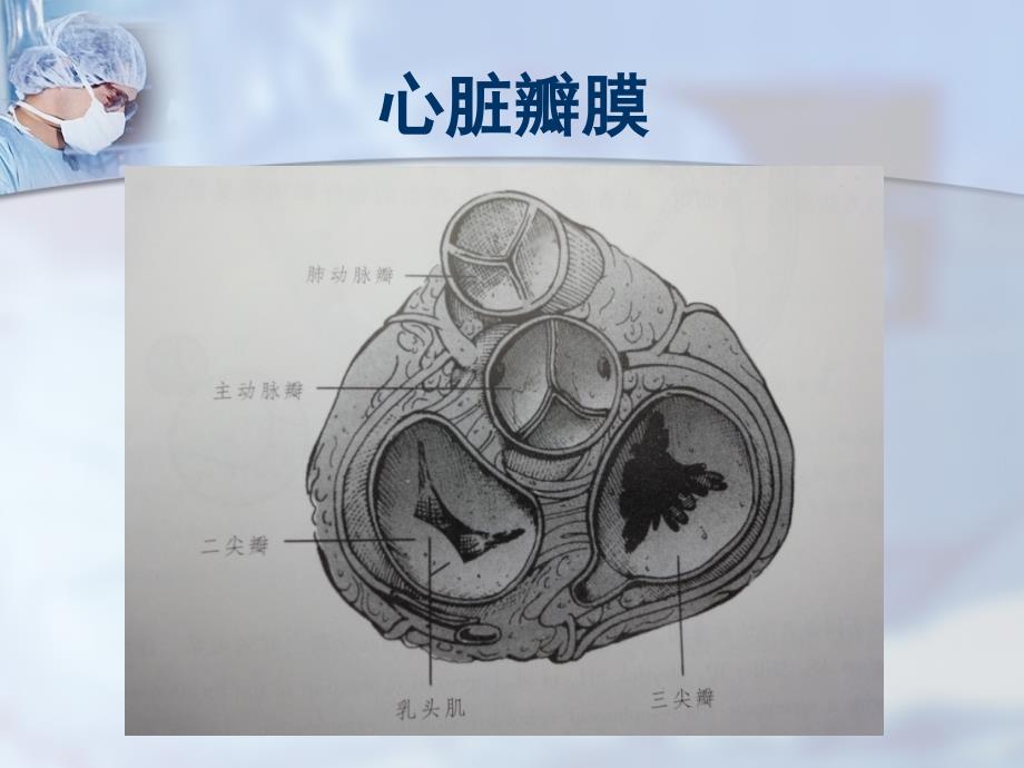 超生诊断学：心脏瓣膜病的超声诊断_第2页