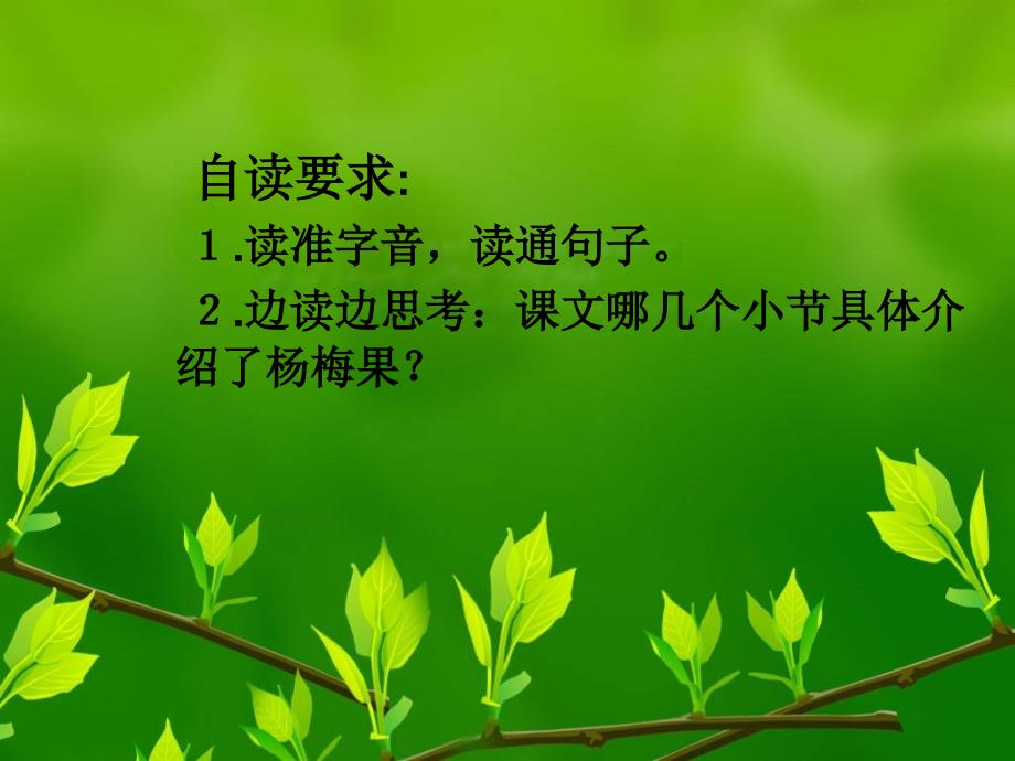 《我爱故乡的杨梅》PPT课件.ppt_第2页