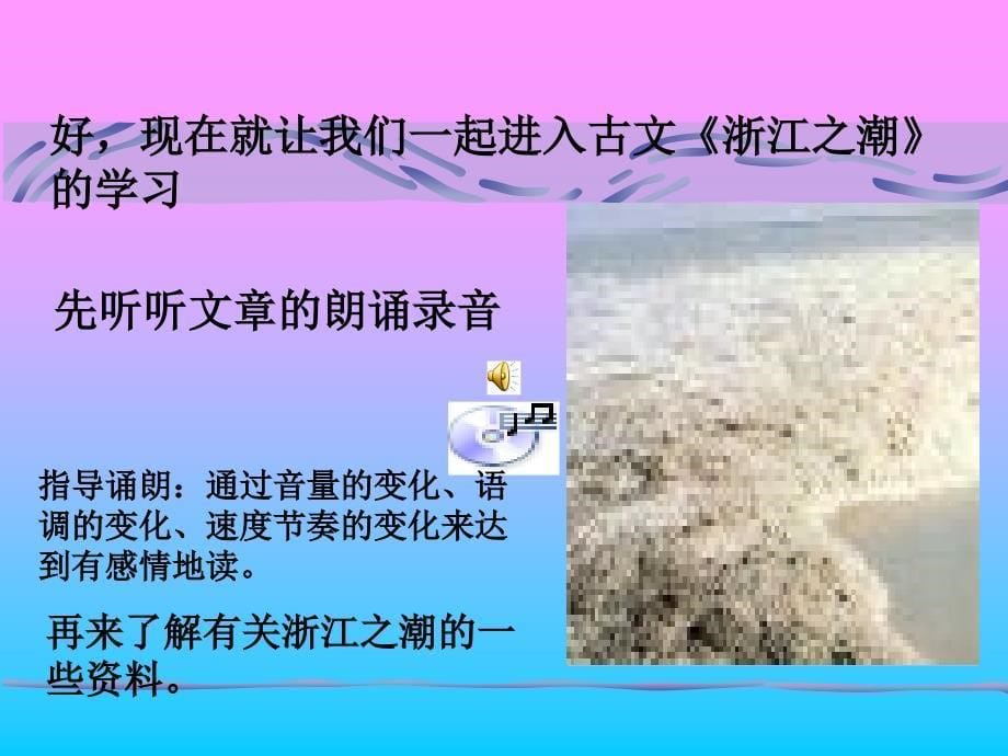 浙江之潮_第5页