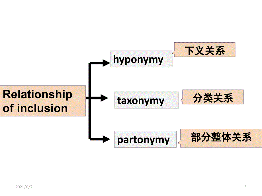 Lecture-9-HyponymyMeronymy-and-Semantic-FieldPPT课件_第3页